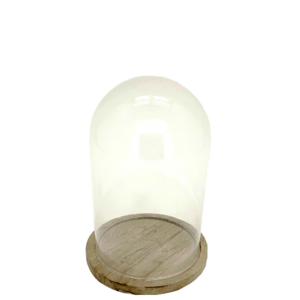 Campana in vetro base bambù H.19 cm